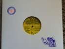 Vinyl Gang Bang, Sympathy For The Record Industry, Super Rare 12