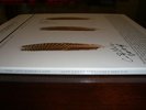 Low Level Owl volume 1 & 2 Appleseed Cast SP LP Silver splash Vinyl SIGNED AUTO