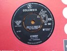 The Tormados - Stingray 1965 UK 45 RGM/JOE MEEK