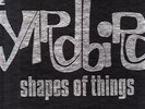 the yardbirds shape of things 7x lp box