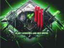 SKRILLEX - SCARY MONSTERS & NICE SPRITES  VINYL LP DISCO TECHNO DUB STEP NEW