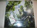 RED HOT CHILI PEPPER FLEA 180 GRAM VINYL AUTOGRAPHED & PIECE OF BASS STRING