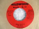 GRACED LIGHTNING-SILVER LINING,WILDWOOD RECORDS,RARE CHICAGO 72,PRE-LP NM