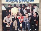Saves The Day Through Being Cool Vinyl LP Equal Vision Records