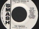 Northern Soul - The Tempests - What You Gonna Do - SMASH 2126 - Demo/DJ Copy