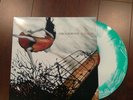 Circa Survive 