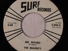rare Instro 45 MALIBU'S mr. malibu SURF Listen
