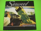 RARE 1995 oop NM LP 'Spanaway' SEAWEED Hollywood Andy Wallace Grunge 90's PROMO