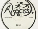 ABACUSH Cush / Physically ROOTS REGGAE SHAKA DUB 12” ??