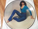 Rare Limited Edition Kate Bush The Kick Inside Picture Disc Vinyl LP