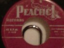 Tempo Toppers Peacock 1628 Always Little Richard