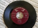 Garage Band/very Rare/Jo-Baby/Dave Gates& Accents/Robbins 1008/Vg/DAVID GATES/B