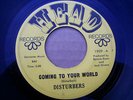 60s PA GARAGE--DISTURBERS--COMING TO YOUR WORLD / FREE 'N EASY--HEAD 1909
