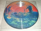 Rare 33t picture disc de pink floyd more  collector  parfait etat