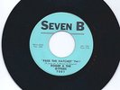 Roger & The Gypsies Pass Hatchet Rare Funk N.O.60's FUNK Seven B Northern-LISTEN