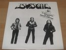 BUDGIE: If swallowed, do not induce vomiting 12