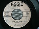 RARE ROCKABILLY 45 rpm DICK MILLER on AGGIE lb 195? NOW IM GONE 