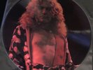 Led Zeppelin Live In Central Park Picture Disc Vinyl Record LP RARE Robert Plant