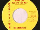 rare Soul 45 MANDELLS what can you do for me MONEYTOWN Hear