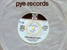 45  MARGO AND THE MARVETTES  WHEN LOVE SLIPS AWAY  PYE  45