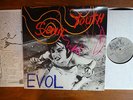 Sonic Youth EVOL LP 1986 ORIGINAL SST 059 NM- Vinyl Records +insert RARE