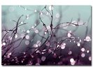 Beata Czyzowska Young 'Somewhere Over the Rainbow' Canv -  - 30 in. H x 47 in. W