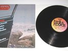 Virgo - LP - Lutello - rare Jazzrock / Kraut Fusion - Bacillus BAC 2053