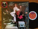 FLAMENCO FEVER -