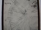 Annette Peacock - Sky-skating   LP