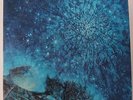 LOVE “Out Here” psych garage 2-LP set on BLUE THUMB orig PROMO Arthur Lee   NM