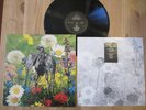 CURRENT 93 Swastikas For Noddy LP 1st Coil Death In June NWW Experimental