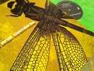 COHEED AND CAMBRIA SECOND STAGE TURBINE BLADE VINYL LP circa survive