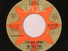 WILD ONES: I've Been Crying / A Little Bit O' Soul (rare soul vinyl 45)