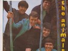 THE ANIMALS - Paint It Black/Sky Pilot  IRANIAN prs. 60s ps EP