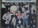 Saves The Day Through Being Cool Vinyl LP Equal Vision Records