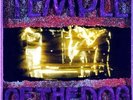 Temple Of The Dog Lp Coloured  Vinyl Pearl Jam Soundgarden