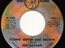 Latin Soul Funk * JOE BATAAN * Young Gifted & Brown * LISTEN MP3
