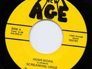 PUNK--SCREAMING URGE--HOMEWORK--HEAR BOTH--on OHIO NEW AGE