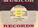 JERRY WILLIAMS - Run Run Roadrunner - MUSICOR - 7