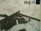 DEAD BOYS 'SONIC REDUCER' ORIGINAL SIRE 12 INCH VINYL RECORD, AUTOGRAPHED COA