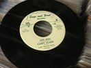 CASEY CLARK Lost John SAGE & SAND Orig 45 Hillbilly Rockabilly Bopper HEAR
