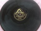 78 TOURS Swing 106 Gus Viseur Sarane Ferret Blue Guitare Fait Expres