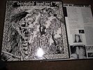 Deviated Instinct Rock n Roll Conformity Vinyl Crust Punk Thrash Hardcore Crass