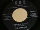 PRIVATE 1960s NM Garage/Rock 45 - THE SHANDELS 