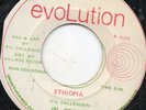 In Crowd - Born In Ethiopia - Original Press Near Mint Evolution 7 Inch