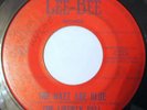 THE LIBERTY BELL The Nazz Are Blue / Big Boss Man Cee-Bee 45 Texas Garage RARE
