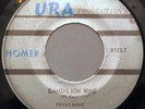 HOMER Dandelion Wine 45 URA Rare Killer Texas Garage Fuzz Hard Psych HEAR IT