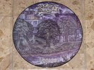 KING DIAMOND - Voodoo, rare Pic-LP, Original 1998 Top, MERCYFUL FATE, Metallica