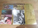 Sonic Youth, Sister LP BFFP 20