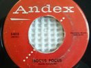 THE RAIDERS Hocus Pocus ANDEX 4015 Original Promo 45 Killer Rockabilly